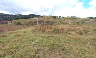 TERRENO EN VENTA UBICADO EN LA PARROQUIA LA ASUNCION