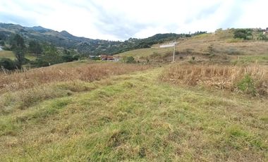 TERRENO EN VENTA UBICADO EN LA PARROQUIA LA ASUNCION