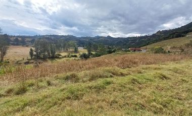TERRENO EN VENTA UBICADO EN LA PARROQUIA LA ASUNCION