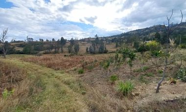 TERRENO EN VENTA UBICADO EN LA PARROQUIA LA ASUNCION