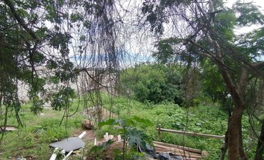Terreno vista Lago Chapala 617m2.			$2,250,000