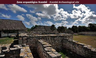 Casa a pasos del mar con alberca privada, en venta, San Benito, Yucatán.