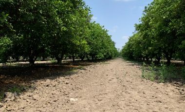 RANCHO EN VENTA CADEREYTA NUEVO LEON . CITRICOLA