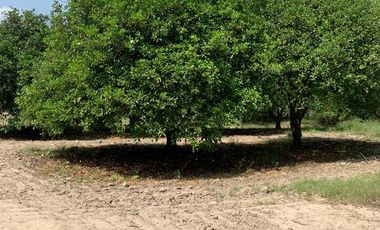 RANCHO EN VENTA CADEREYTA NUEVO LEON . CITRICOLA
