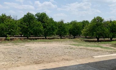 RANCHO EN VENTA CADEREYTA NUEVO LEON . CITRICOLA