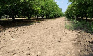 RANCHO EN VENTA CADEREYTA NUEVO LEON . CITRICOLA
