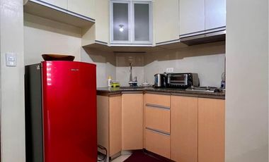 Modern 1 Bedroom Unit for Sale in Two Palm Tree Villas Tower 2, Newport City, Villamor Air Base, Pasay City!