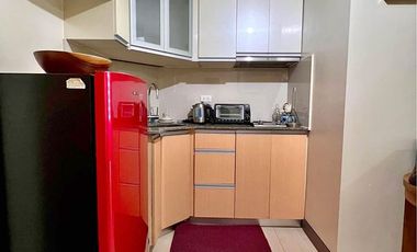 Modern 1 Bedroom Unit for Sale in Two Palm Tree Villas Tower 2, Newport City, Villamor Air Base, Pasay City!