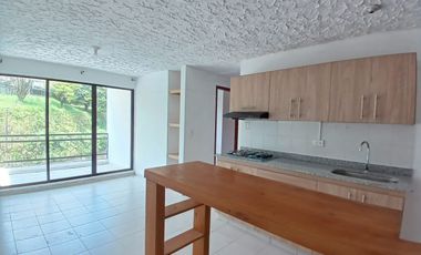 Apartamento en Arriendo en Providencia