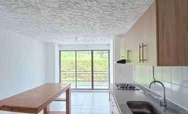 Apartamento en Arriendo en Providencia