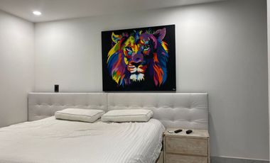 45736 Apartamento en arriendo en el sector Las Brujas