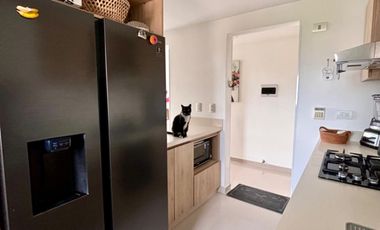 Alquiler apartamento amoblado Anillo vial