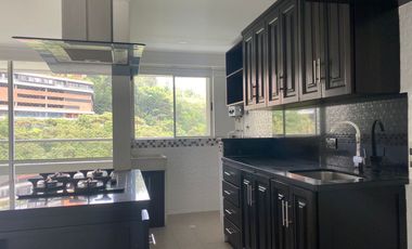 45742 Apartamento en arriendo en el sector El Trianon