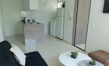 ARRIENDO APTOESTUDIO AMOBLADO EN ED CALERA DEL TANGO, INTERLAKEN, IBAGUÉ PxG