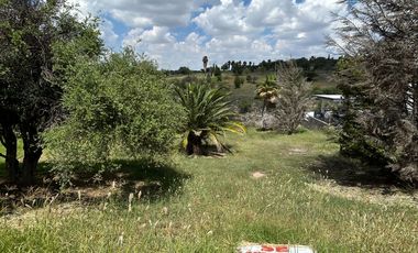 VENTA DE TERRENO EN EDEN LOS SABINOS