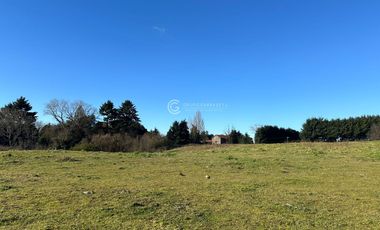 TERRENO CON POTENCIAL INMOBILIARIO, OVEJERIA - OSORNO