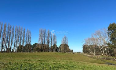 TERRENO CON POTENCIAL INMOBILIARIO, OVEJERIA - OSORNO