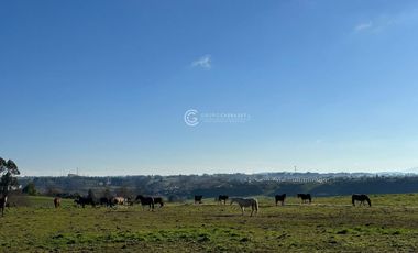 TERRENO CON POTENCIAL INMOBILIARIO, OVEJERIA - OSORNO