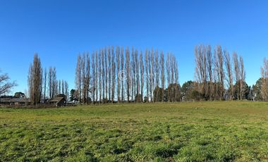 TERRENO CON POTENCIAL INMOBILIARIO, OVEJERIA - OSORNO