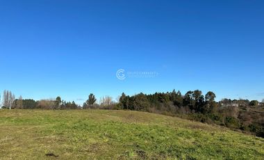 TERRENO CON POTENCIAL INMOBILIARIO, OVEJERIA - OSORNO