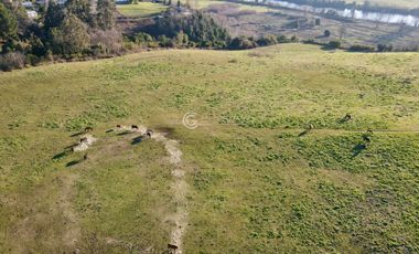 TERRENO CON POTENCIAL INMOBILIARIO, OVEJERIA - OSORNO