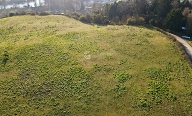 TERRENO CON POTENCIAL INMOBILIARIO, OVEJERIA - OSORNO