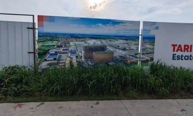 Luisita Tarlac Lot for Rent fronting Tari Estate Aboitiz