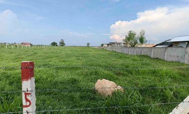 Luisita Tarlac Lot for Lease fronting Tari Estate Aboitiz