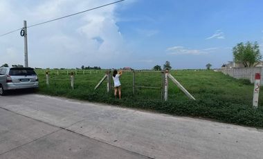 Luisita Tarlac Lot for Rent fronting Tari Estate Aboitiz