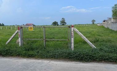 Luisita Tarlac Lot for Rent fronting Tari Estate Aboitiz
