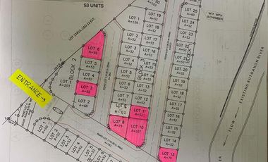 Santa Monica Estate Talamban : Pre-Selling House and Lot for Sale