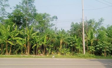 Jual Tanah 4.000 m2 di Sajira Lebak Banten Dekat Alun-Alun Sajira, Pasar Sajira