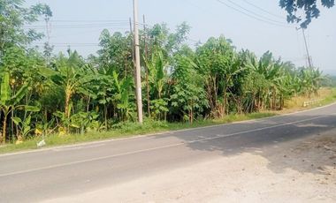 Jual Tanah 4.000 m2 di Sajira Lebak Banten Dekat Alun-Alun Sajira, Pasar Sajira