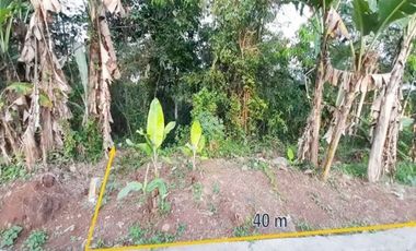 Jual Tanah 4.000 m2 di Sajira Lebak Banten Dekat Alun-Alun Sajira, Pasar Sajira
