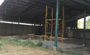 Termurah Ex Pabrik Gudang Kayu Beji Pasuruan Paling Murah