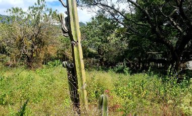 Terreno en venta en Tepoztlán Morelos, plano con vista