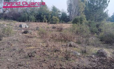 Vendo Hermosa parcela a orillas  del rio Chillan  Pinto