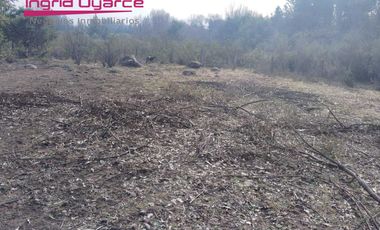 Vendo Hermosa parcela a orillas  del rio Chillan  Pinto