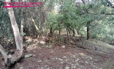 Vendo Hermosa parcela a orillas  del rio Chillan  Pinto