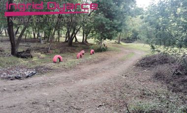 Vendo Hermosa parcela a orillas  del rio Chillan  Pinto