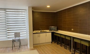 ARRIENDO DEPARTAMENTO UN DORMITORIO EN SUITE CON TERRAZA SEMI AMUEBLADO,BARRIO SAN ISIDRO  SANTIAGO