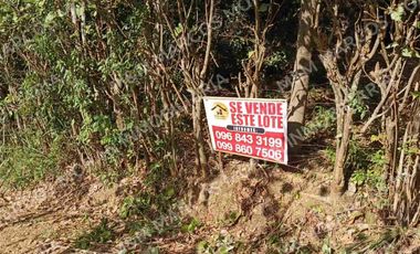 Venta de lote en El Tambo - Catamayo