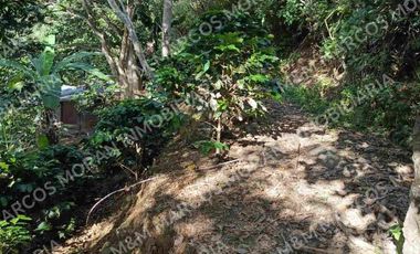 Venta de lote en El Tambo - Catamayo