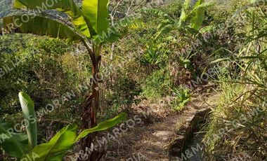 Venta de lote en El Tambo - Catamayo