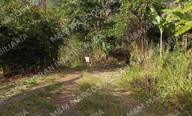 Venta de lote en El Tambo - Catamayo