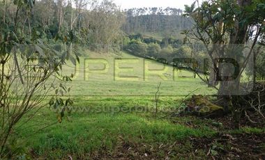 TERRENO RURAL PARCELA 4 CONDOMINIO BARRO BLANCO DE 30000 M2 UBIC: SANTA LIBRADA-BOJACÁ - BARROBLANCO