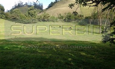 TERRENO RURAL PARCELA 4 CONDOMINIO BARRO BLANCO DE 30000 M2 UBIC: SANTA LIBRADA-BOJACÁ - BARROBLANCO