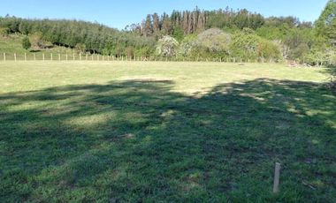 Parcela sector Quinta Faja 20 minutos de Villarrica