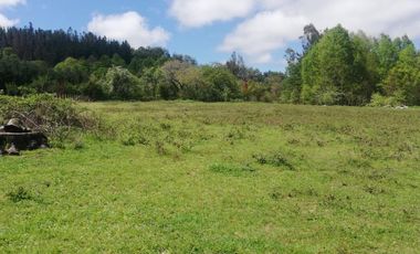 Parcela sector Quinta Faja 20 minutos de Villarrica