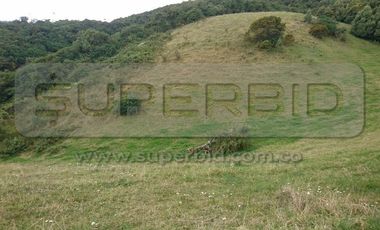 TERRENO RURAL PARCELA 12 CONDOMINIO BARRO BLANCO DE 30016,41 M2 UBIC.: SANTA LIBRADA-BOJACÁ - BARROBLANCO